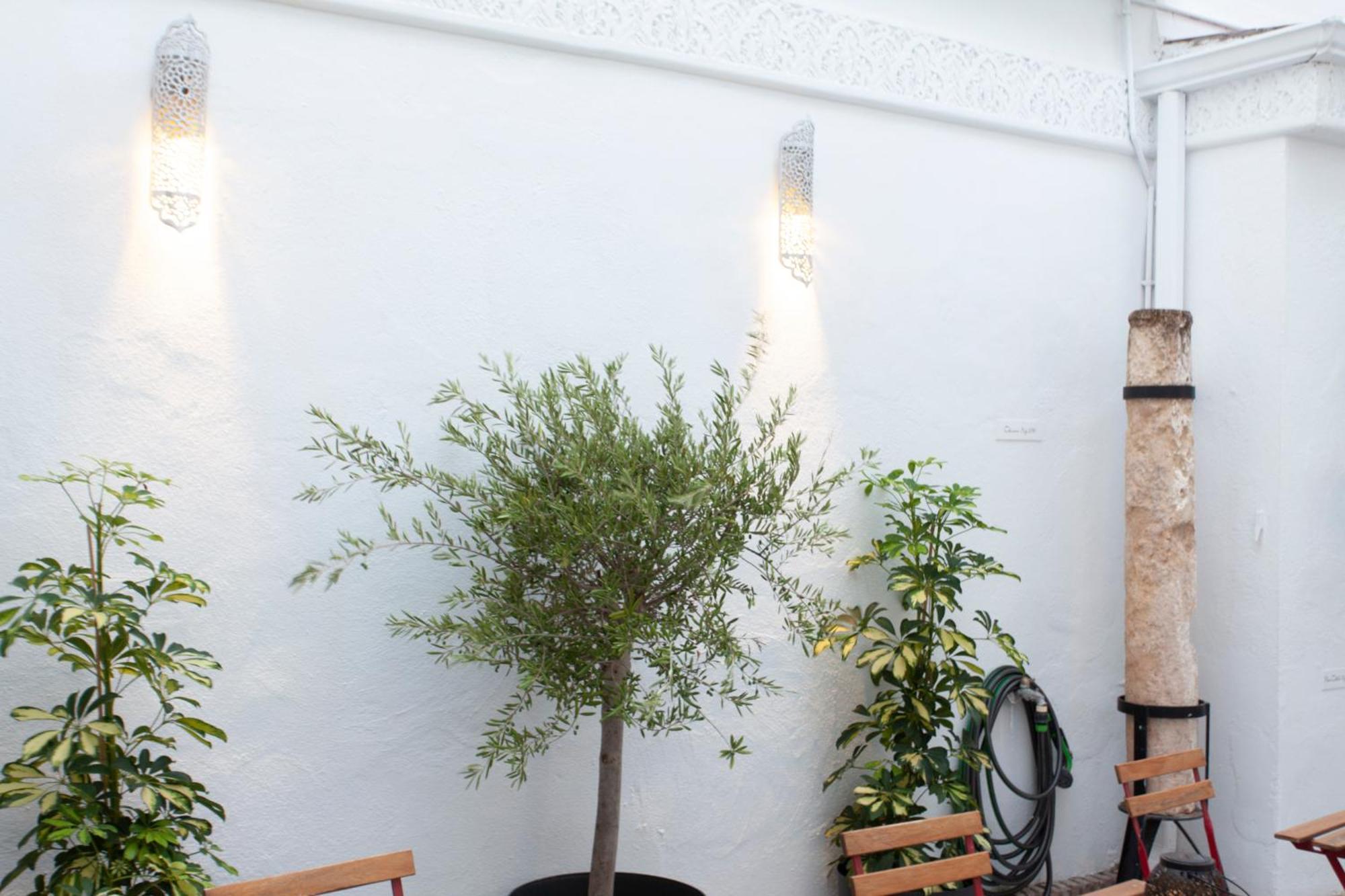 Altabib Riad กอร์โดบา ภายนอก รูปภาพ